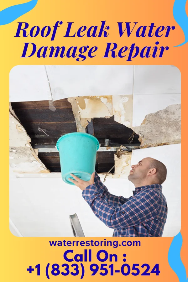 Roof Leak Water Damage Repair in Taylor, ND